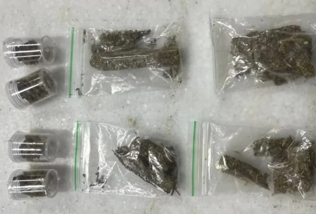 Entregador por aplicativo suspeita de pacote e aciona a Polícia Militar após encontrar maconha em Campinas
