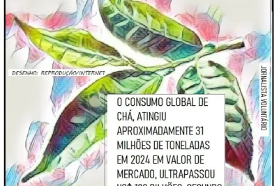 CONSUMO GLOBAL DE CHÁ