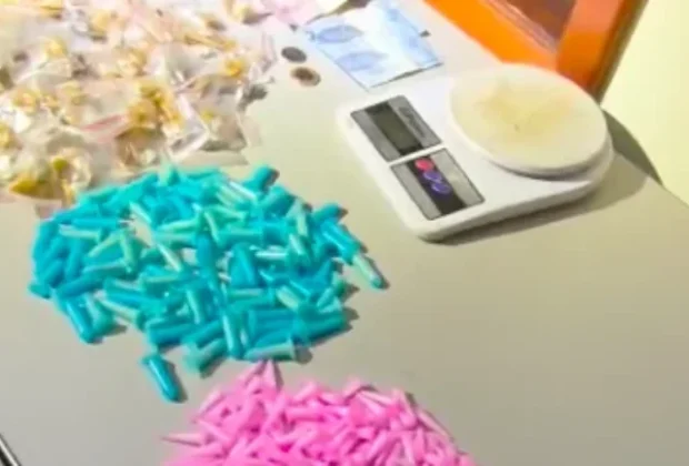 ROMU apreende grande quantidade de drogas em residência em Cosmópolis