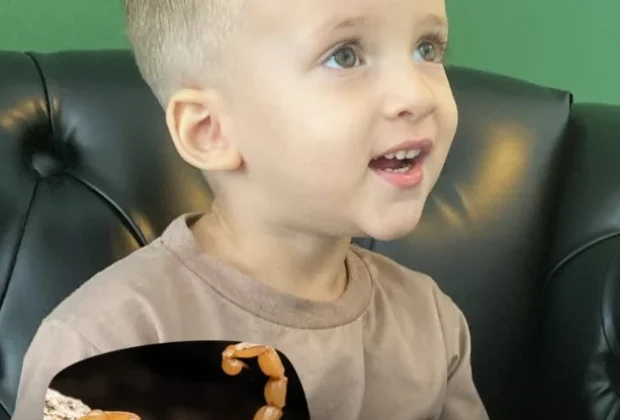 Menino de 3 anos morre após ser picado por escorpião em Conchal