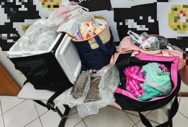 Polícia Militar apreende 16 kg de drogas e prende homem em Pedreira