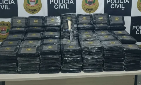 Campinas: DISE apreende 225 kg de cocaína em carreta e prende motorista