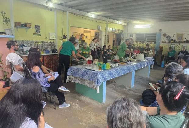Semana de Fitoterapia de Campinas reúne mais 1,2 mil pessoas interessadas no cultivo e uso de plantas medicinais