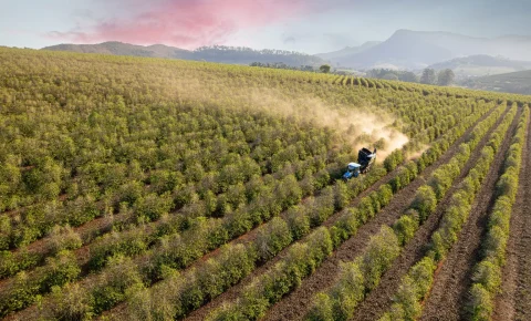 Rotas do Café de SP impulsionam turismo, geram empregos e aumentam faturamento dos negócios