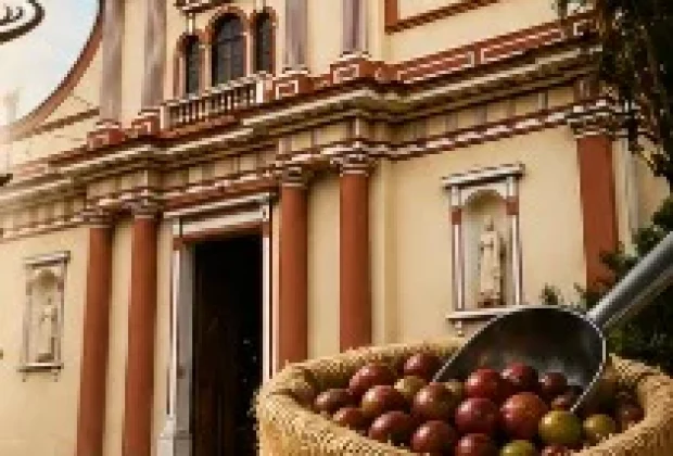 Do Pé à Xícara” valoriza a tradição cafeeira com programação cultural, educativa e rural em Monte Alegre do Sul