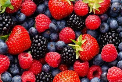 Publicação técnica sobre frutas vermelhas é lançada na Agrishow 2026