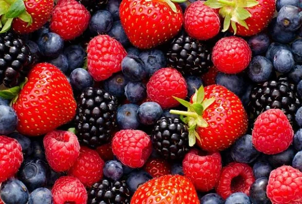 Publicação técnica sobre frutas vermelhas é lançada na Agrishow 2026