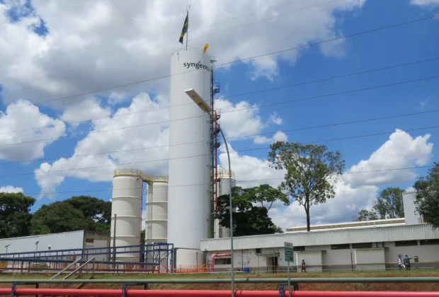 Syngenta abre vagas de estágio com oportunidades em Holambra e Paulínia
