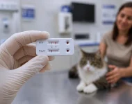 Vacinas em gatos: por que o teste de FeLV é tão importante antes da vacinação?