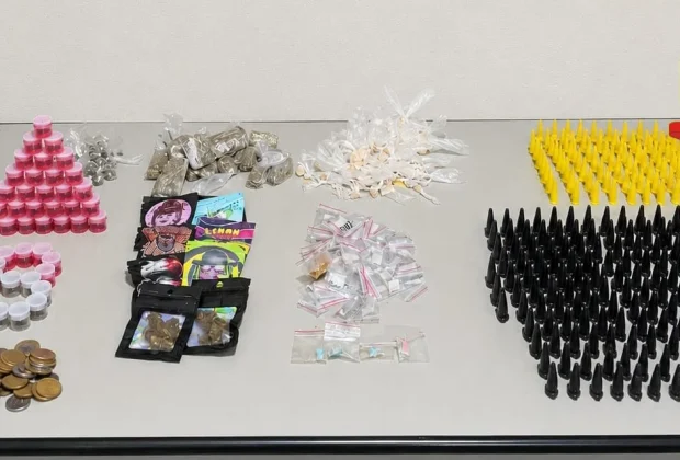 PM apreende grande quantidade de drogas durante ação em Cosmópolis