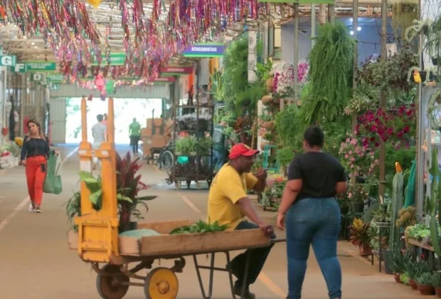 Ceasa Campinas realiza Feira de Noivas no Mercado de Flores neste sábado, 16