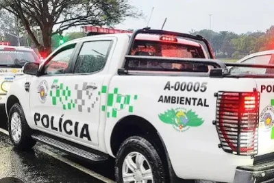 Guarda detém dois homens por desmatamento em área protegida em Artur Nogueira