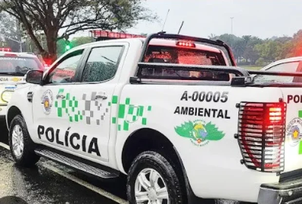 Guarda detém dois homens por desmatamento em área protegida em Artur Nogueira