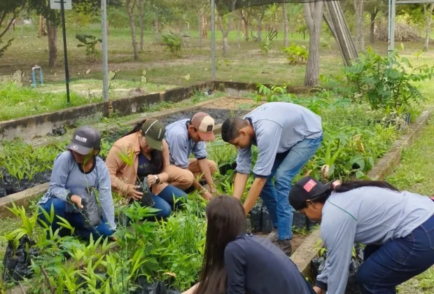 Etec abre inscrições para curso técnico em Agricultura em Holambra