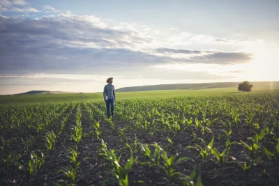 Gestão de energia torna-se essencial para produtividade do agronegócio