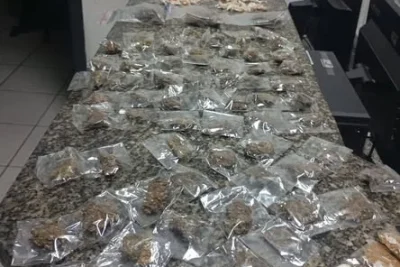 Guarda Municipal apreende mais de 500 porções de drogas em Pedreira