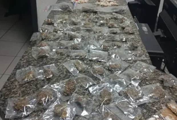 Guarda Municipal apreende mais de 500 porções de drogas em Pedreira
