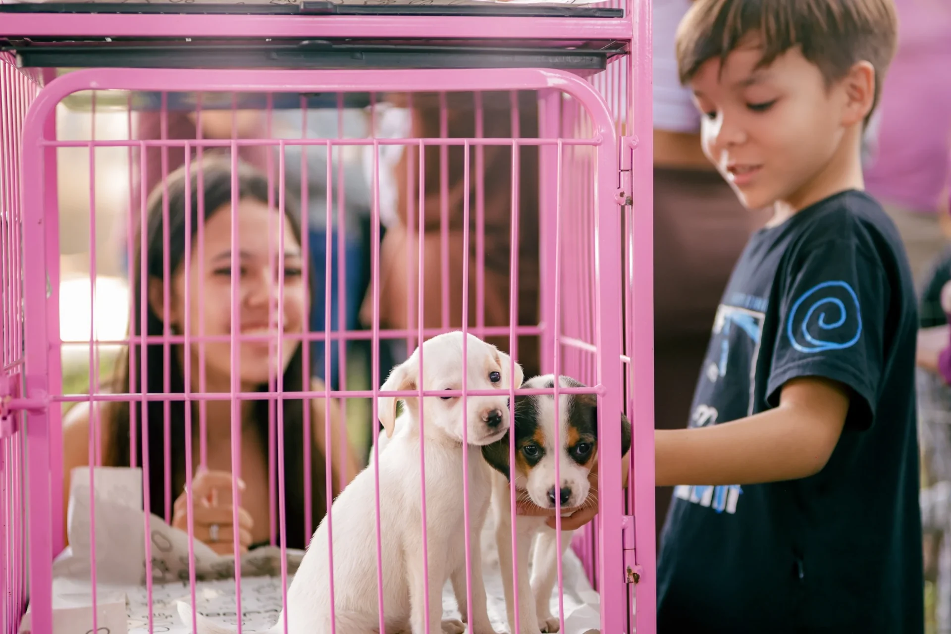 2da Feria de Mascotas reúne a cientos de personas en Artur Nogueira ‹