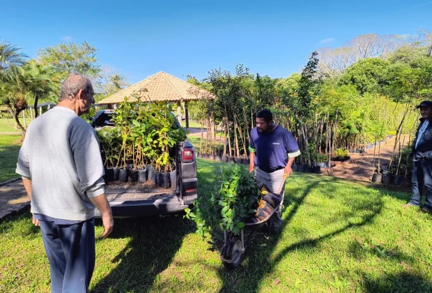PREFEITURA REALIZA DOAÇÃO DE MUDAS DE ESPÉCIES NATIVAS NESTA SEMANA DO MEIO AMBIENTE