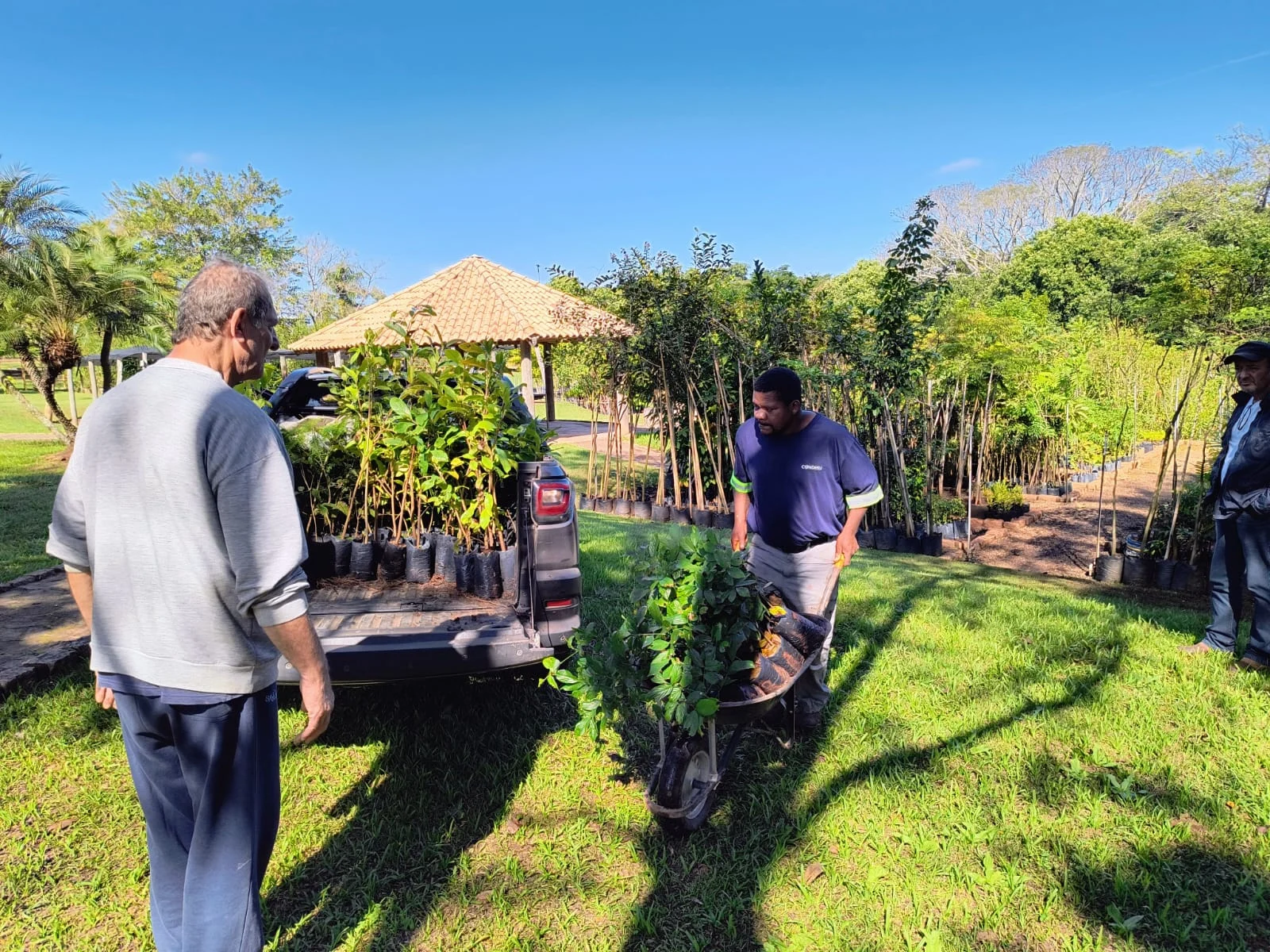 AYUNTAMIENTO REALIZA DONACIÓN DE PLANTAS DE ESPECIES NATIVOS ESTA SEMANA DEL MEDIO AMBIENTE ‹