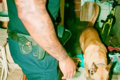 Guarda Municipal prende homem por violência doméstica e tráfico de drogas em Holambra