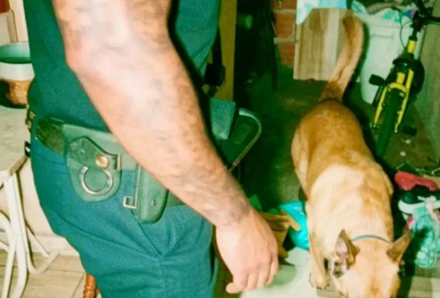 Guarda Municipal prende homem por violência doméstica e tráfico de drogas em Holambra