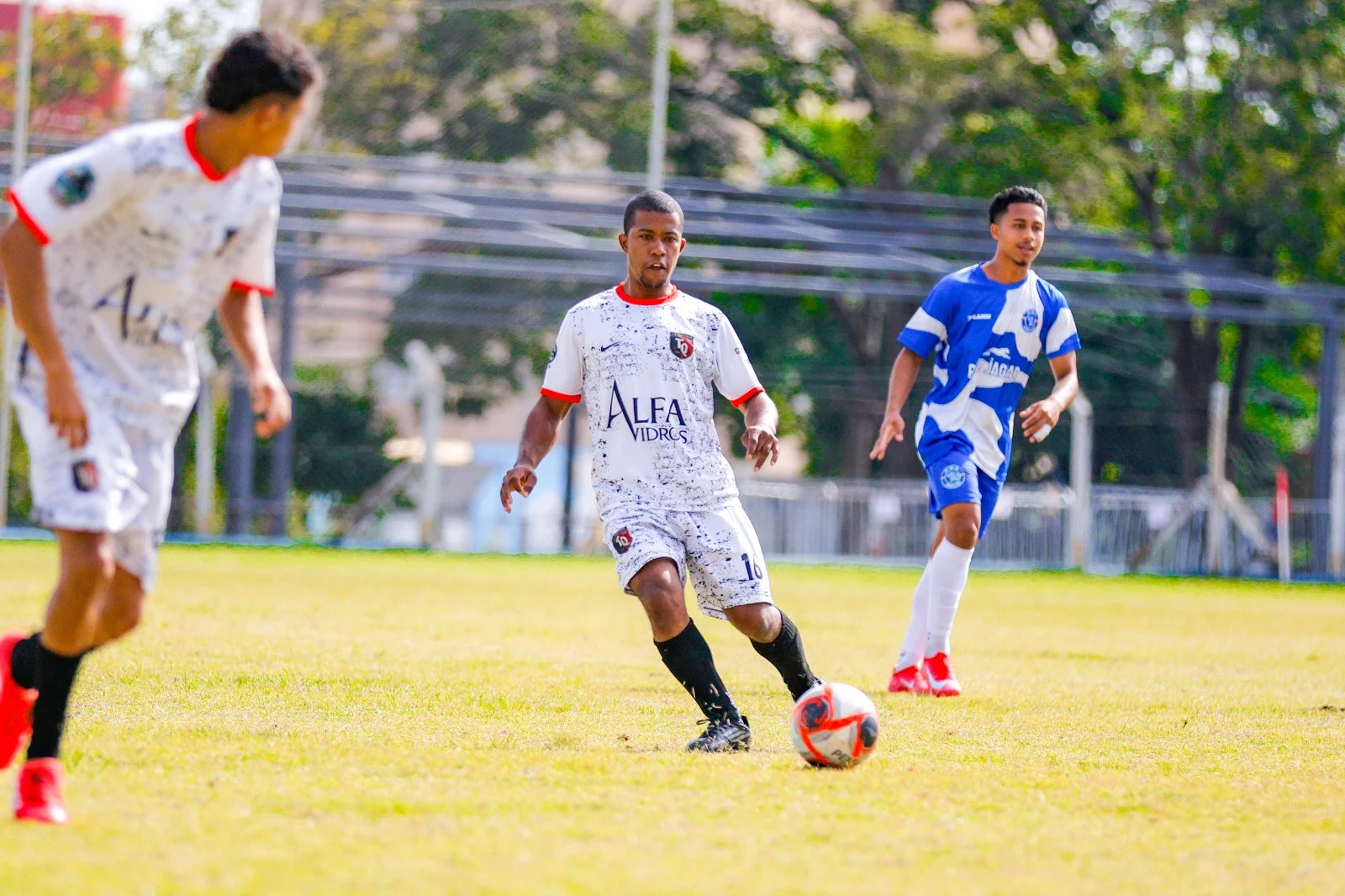 Copa de Plata Jaguariúna Amadorzão tendrá ocho partidos el fin de semana ‹