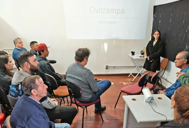 Saúde vai iniciar projeto estratégico de monitoramento do mosquito da dengue com ovitrampas