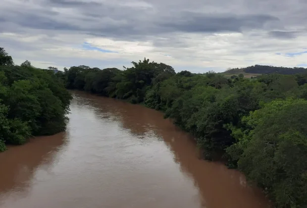 Estudo no rio Mogi Guaçu ajuda a ampliar precisão na detecção de contaminantes na água