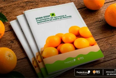 Fundecitrus divulga inventário de árvores e estimativa da safra de laranja 2026/27