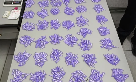GCM apreende mais de mil pinos de cocaína após denúncia de disparos em Santo Antônio de Posse