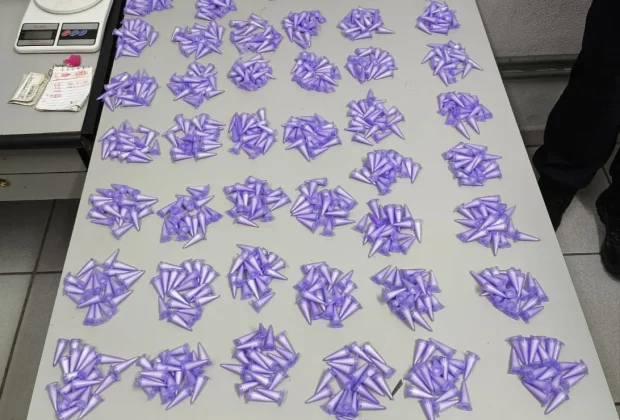 GCM apreende mais de mil pinos de cocaína após denúncia de disparos em Santo Antônio de Posse
