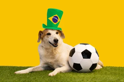 Copa do Mundo 2026: como os brasileiros incluem os pets na torcida