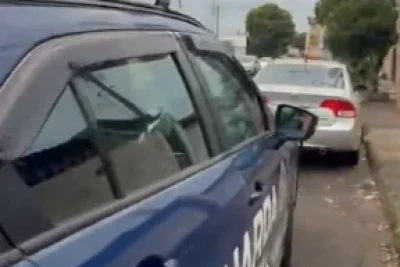 Guarda Municipal encontra 14 aves em situação irregular em Jaguariúna