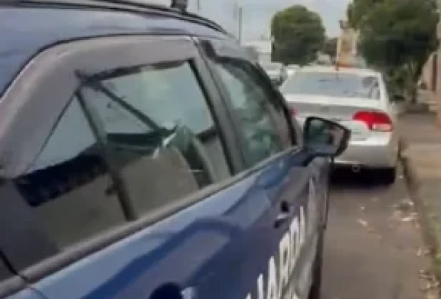 Guarda Municipal encontra 14 aves em situação irregular em Jaguariúna