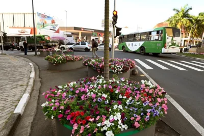 Aprecie o caminho: 300 mil mudas de flores e plantas ornamentais colorem Campinas