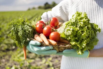 Agricultura familiar respondeu por quase 80% dos contratos do Plano Safra 2025/2026