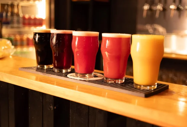 Região de Campinas integra o circuito das Rotas da Cerveja de SP
