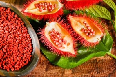 Colorau além do tempero: conheça a planta brasileira mais usada pela indústria para dar cor aos alimentos
