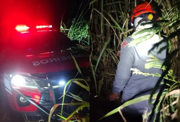 Homem perdido em canavial é resgatado pelos bombeiros em Itapira