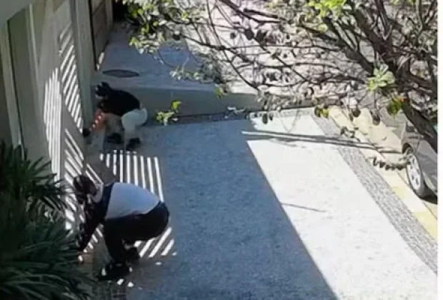 Perseguição termina com três presos após tentativa de furto a residência em Pedreira