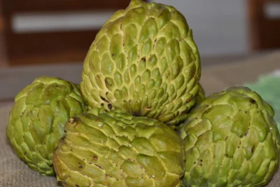 CATI ministrará palestra sobre avaliação de mudas de atemoia no 20º Encontro de Fruticultura