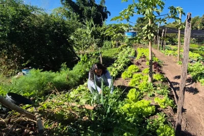 Produtores rurais da região de Campinas podem se inscrever em programa gratuito de inovação do Sebrae-SP