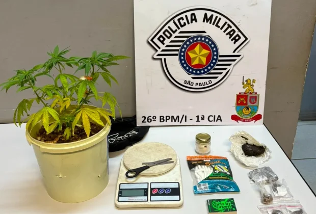 Homem é preso por tráfico de drogas após PM encontrar entorpecentes e pé de maconha em Mogi Guaçu