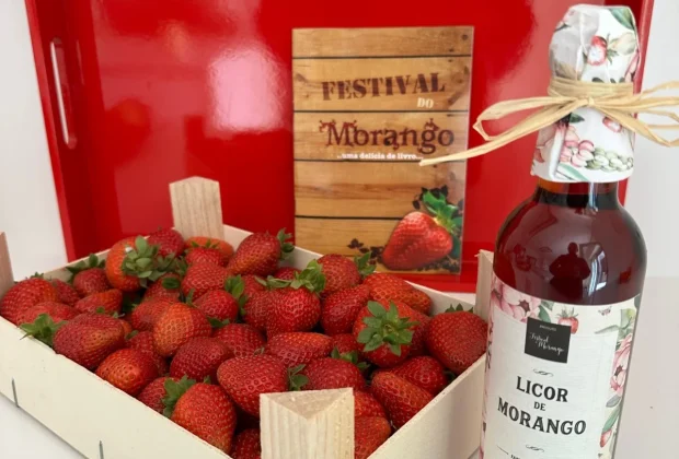 31ª Festa do Morango de Monte Alegre do Sul promete movimentar o município com sabores, cultura e tradição