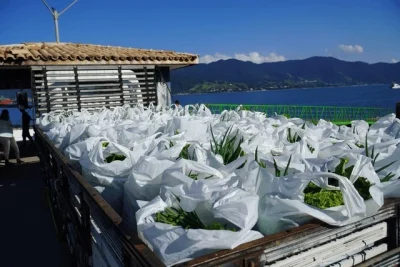 SAA abre novo chamamento público do Programa de Aquisição de Alimentos