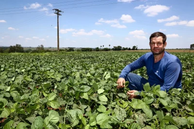 Conheça as opções de recursos voltadas para infraestrutura, sustentabilidade e o fortalecimento do agronegócio paulista