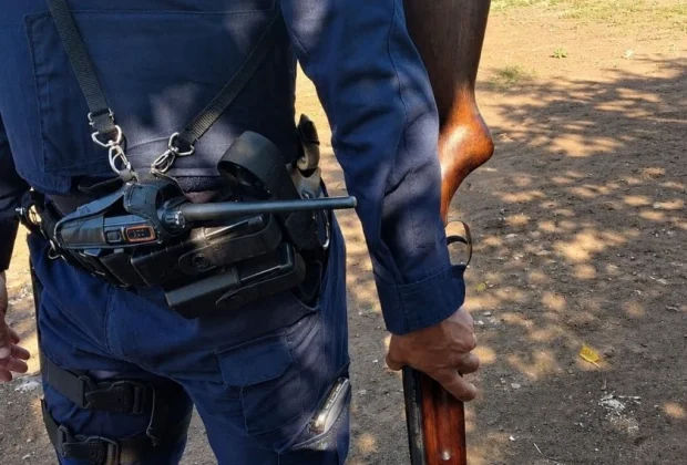 GCM apreende espingarda calibre 22 em residência de Estiva Gerbi