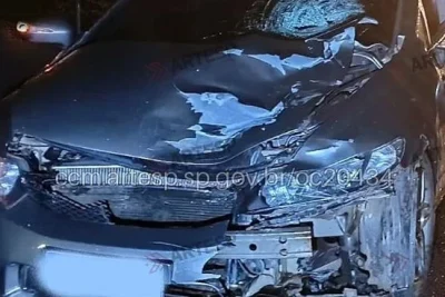 Atropelamento na Rodovia dos Bandeirantes deixa um morto e outro ferido em Campinas