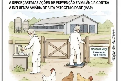 PREVENÇÃO CONTRA A INFLUENZA AVIÁRIA